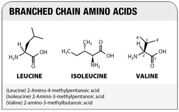 branched-chain-chemical-structure