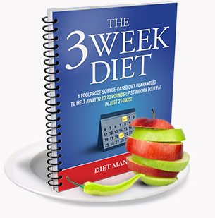 the 3 week diet system book