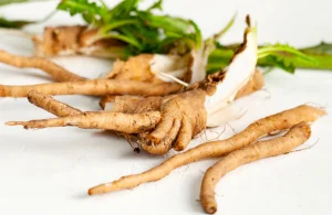 Inulin