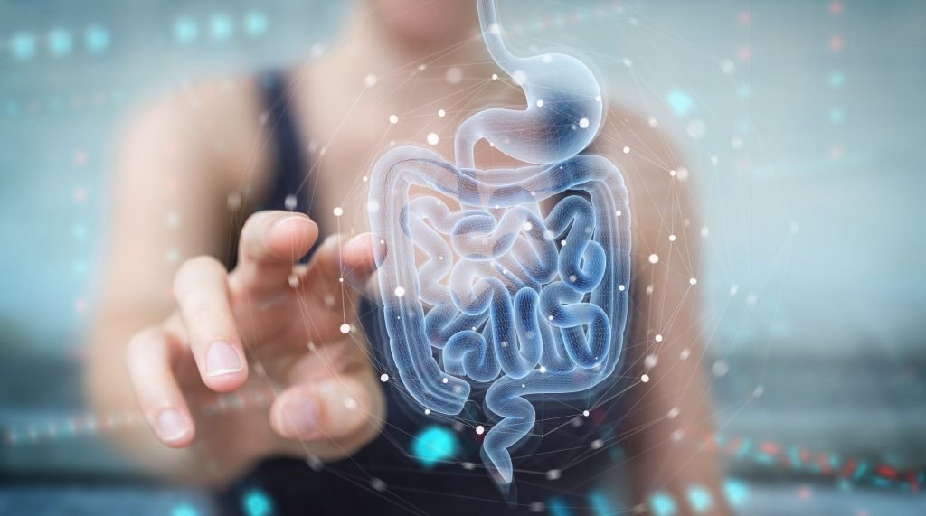 gut health